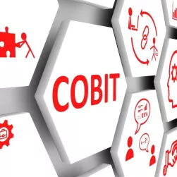 COBIT® 2019 Foundation