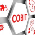 Defining the Cobit 5 principles