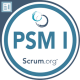 Professional Scrum Master PSMI