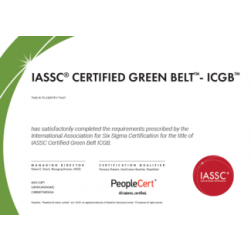 Gecertificeerde Lean Six Sigma Groene Band