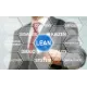Lean Six Sigma Ceinture Verte eLearning