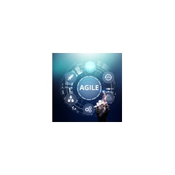 Agile ScrumMaster Online Bootcamp (ASM®) Agile ScrumMaster Online Bootcamp (ASM®)