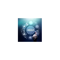 Agile ScrumMaster Online Bootcamp (ASM®)