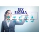 Lean Six Sigma Black Belt eLearning