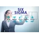 Lean Six Sigma Black Belt eLearning