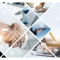 CBAP® Certification Online Training