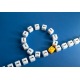 PECB Certified ISO 22301 Lead Auditor eLearning