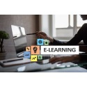 PRINCE2 Programmabeheer - MSP Foundation & Practitioner eLearning Pakket