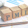 PMI® / PMP Project Management
